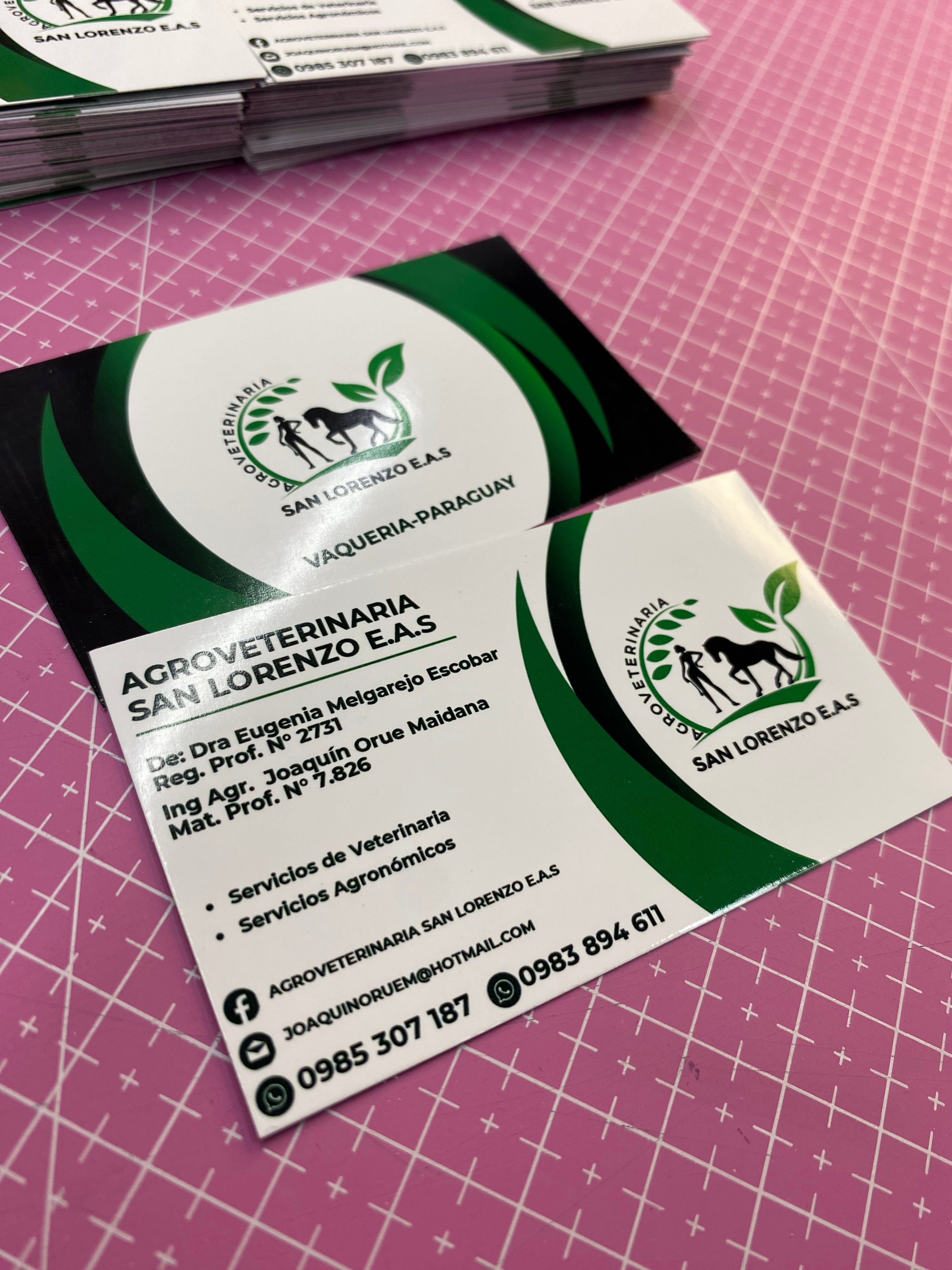 Tarjetas gift card, fidelidad , presentación